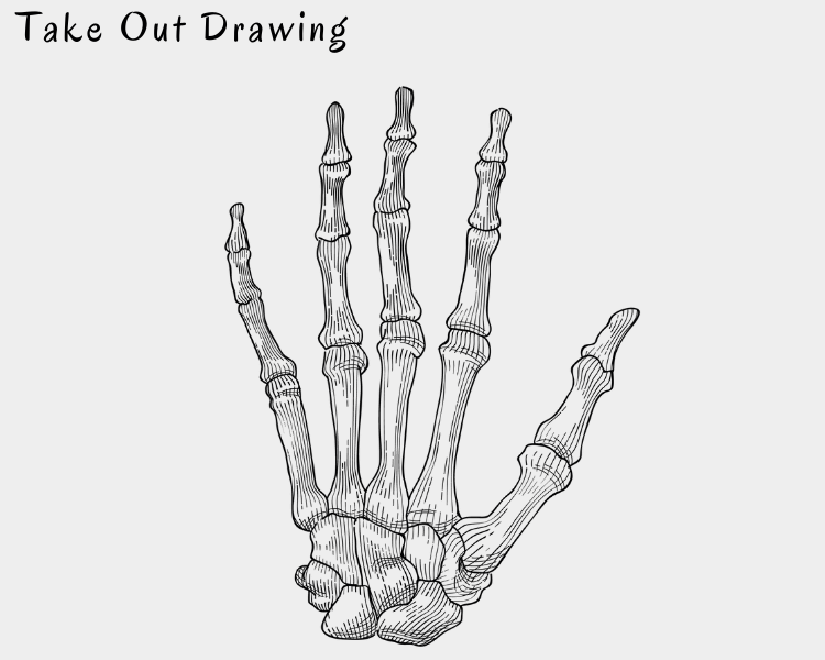 Skeleton Hand Drawing Sample-1