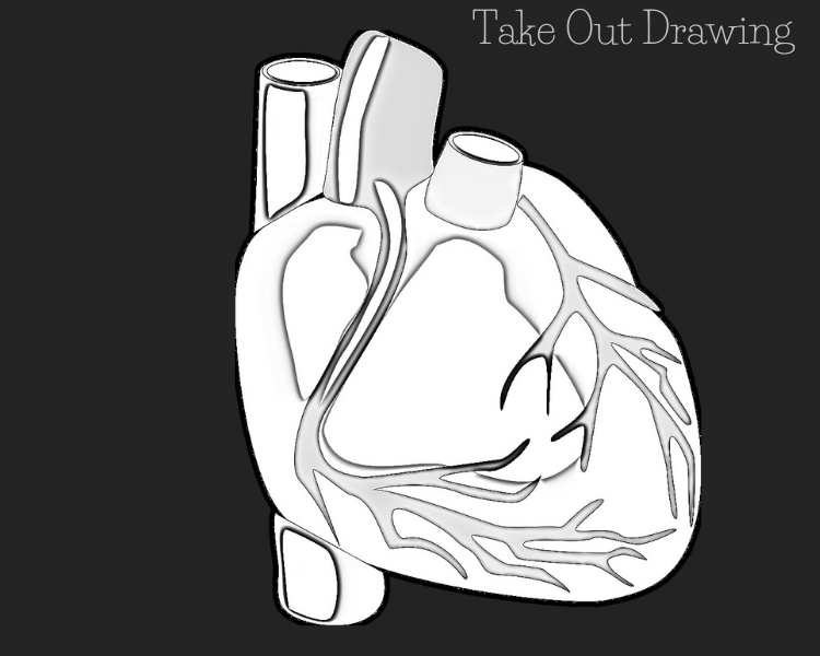 Human Heart Drawing Sample-6