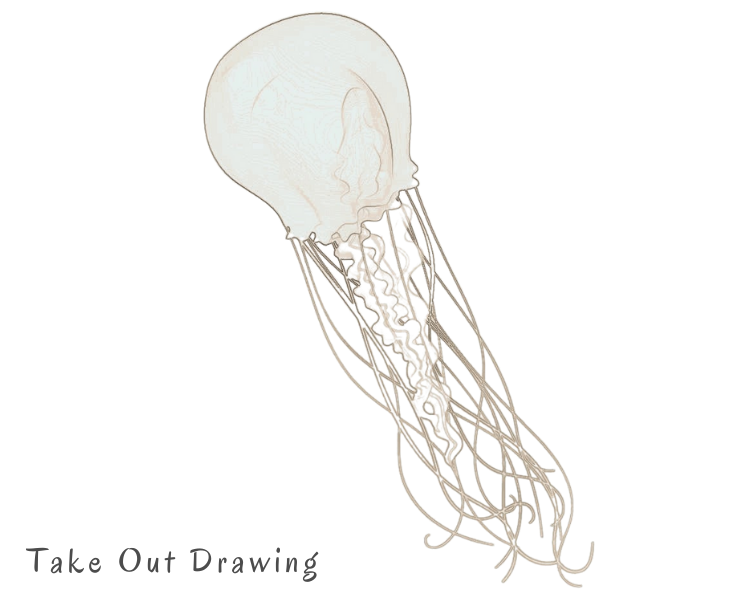 Realistic Jelly Fish Drawing Sample-2