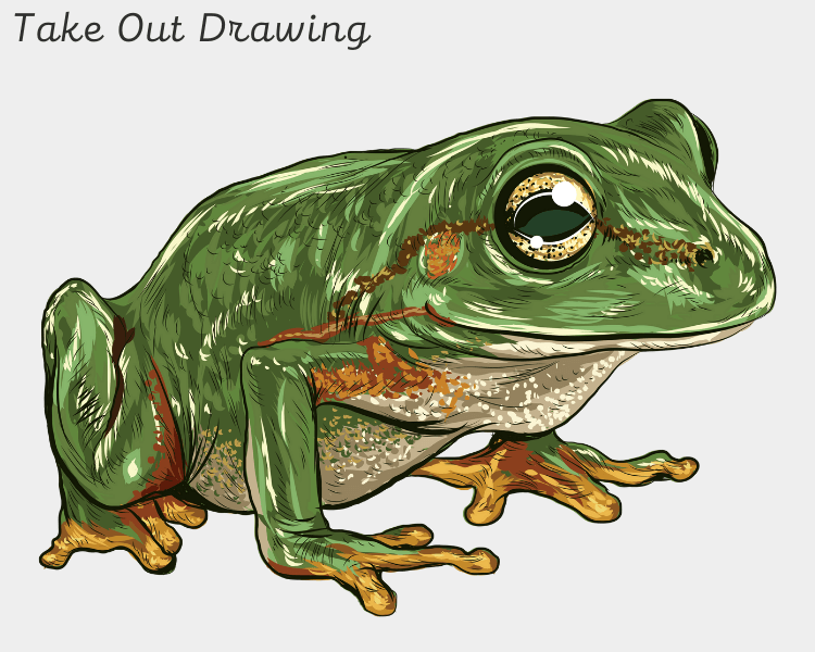 Cute Frog Art Drawing 1