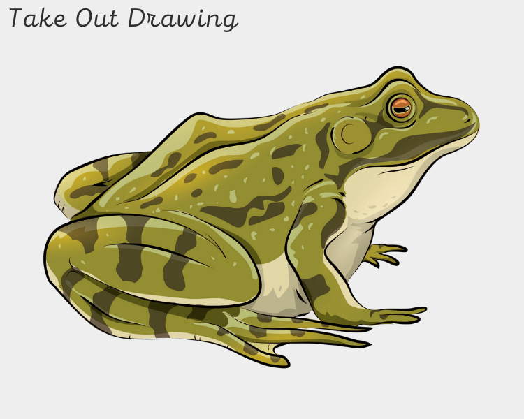 Cute Frog Art Drawing 2