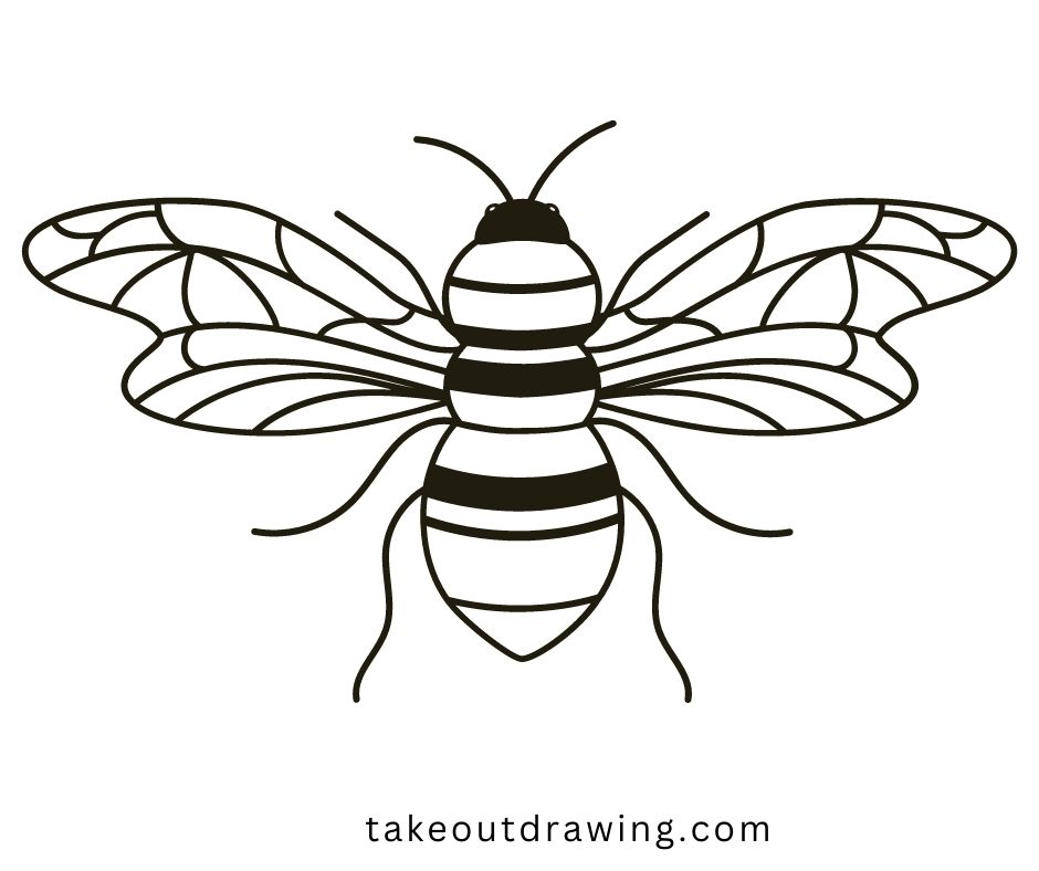 Bee Drawing Easy-