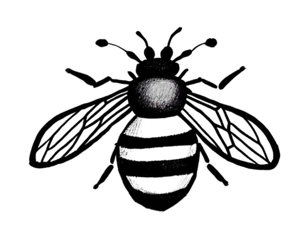 Bee Drawing Easy-1