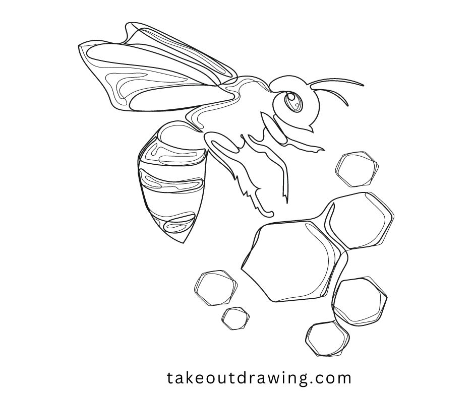 Bee Drawing Easy-3