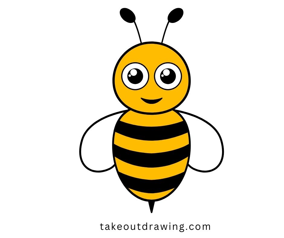 Bumble Bee Drawing-4