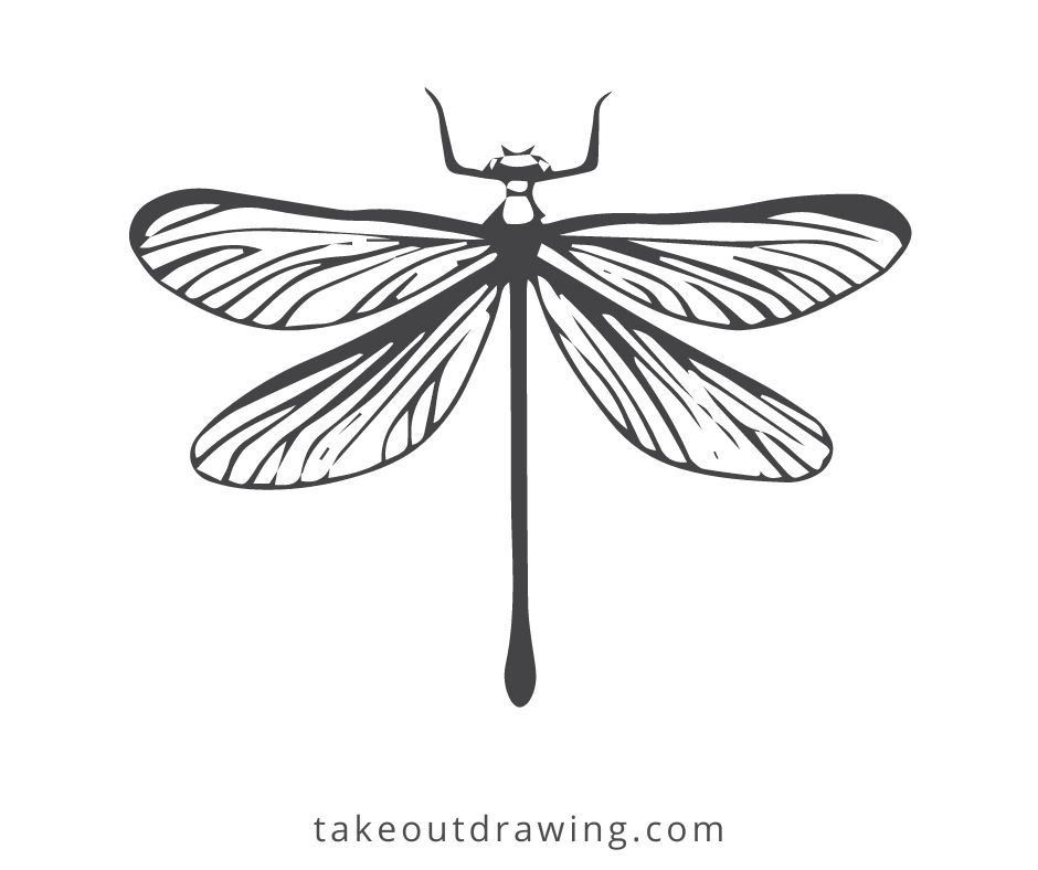 Dragonfly Drawing Easy-3