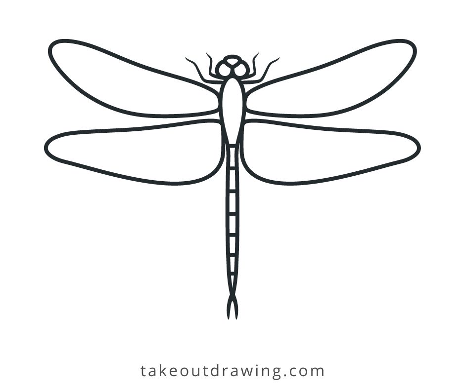 Dragonfly Drawing Easy-4