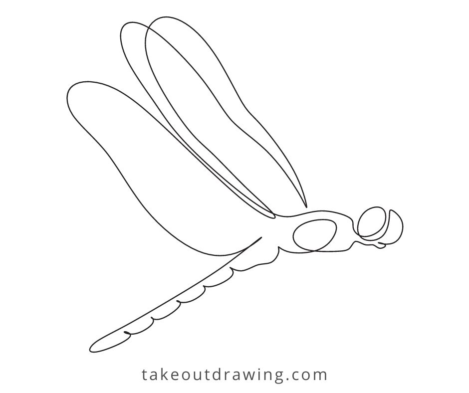 Line Drawings of Dragonflies-3