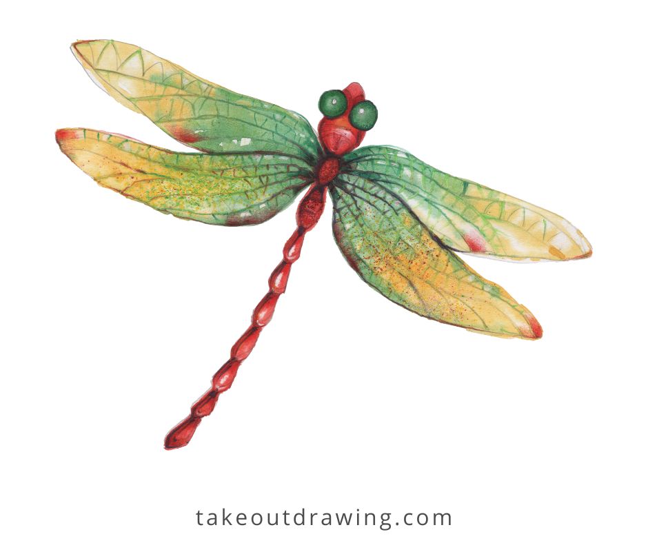 Realistic Dragonfly Drawing-1