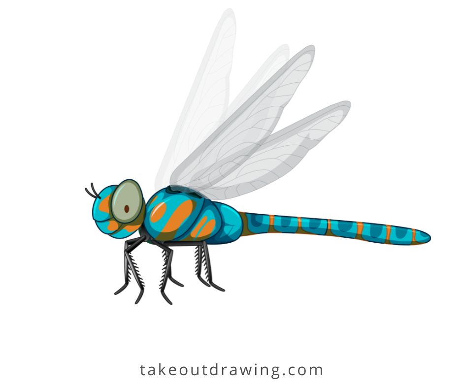 Realistic Dragonfly Drawing-2