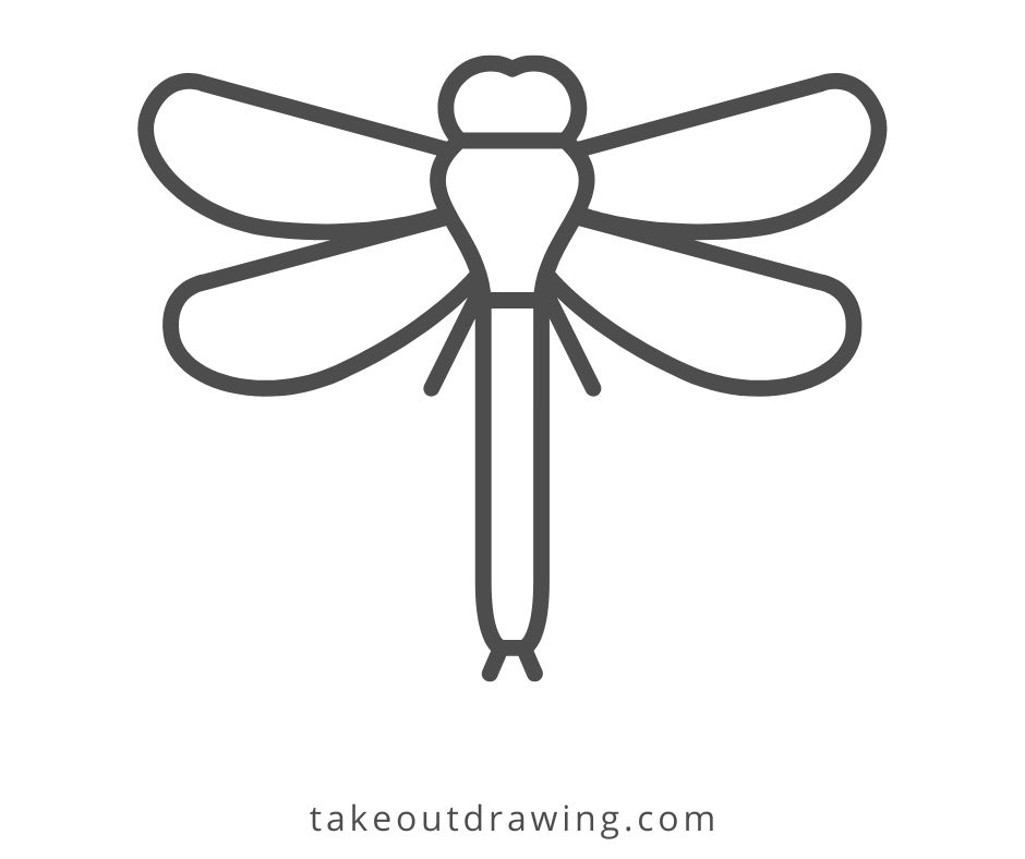 Simple Dragonfly Drawing-2