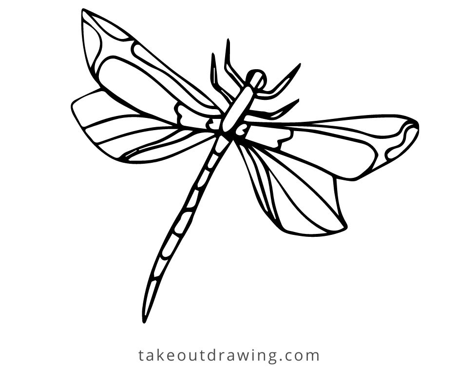 Simple Dragonfly Drawing-4