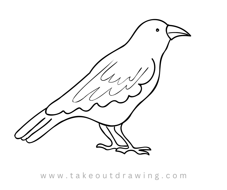 Easy Crow Drawing Picture-1