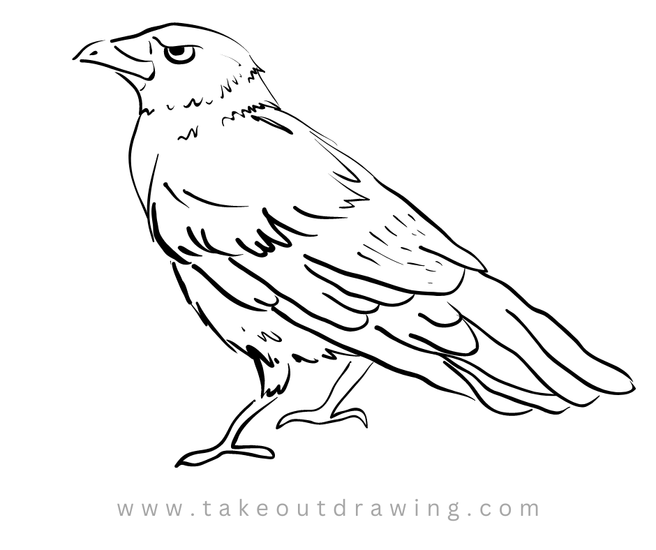 Easy Crow Drawing Picture-2