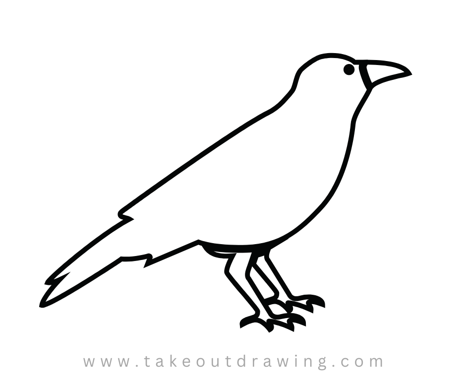 Easy Crow Drawing Picture-4