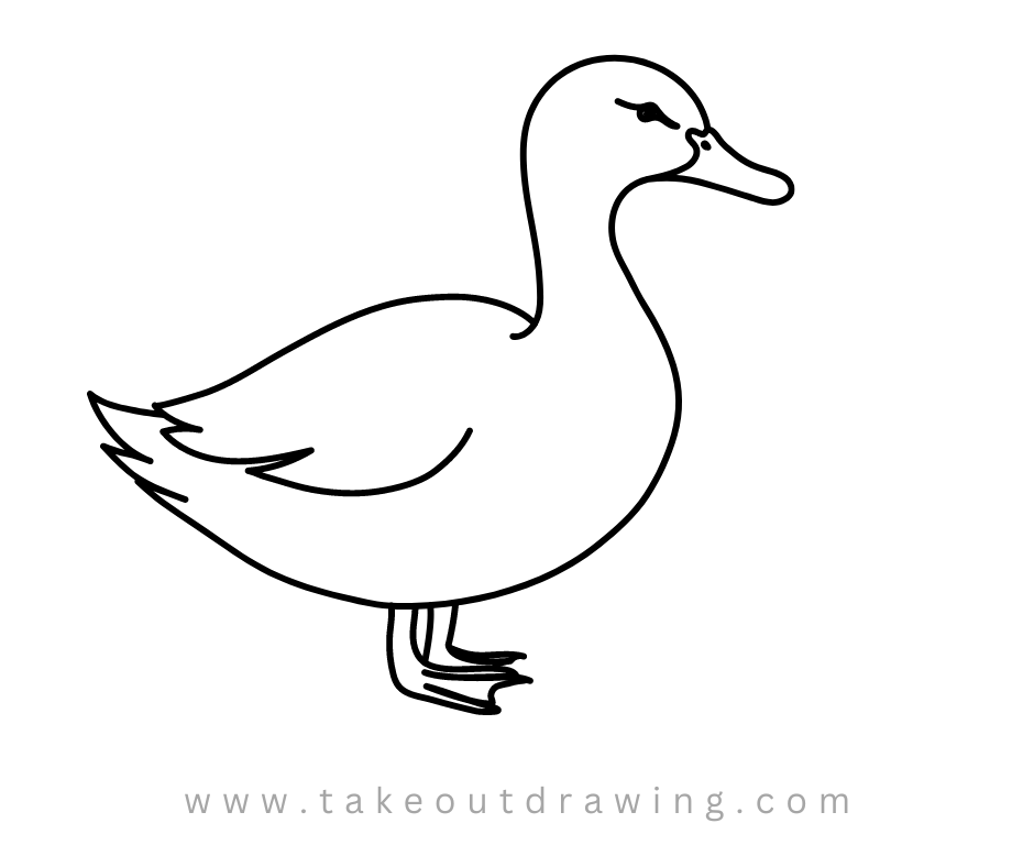 Easy Duck Drawing-1