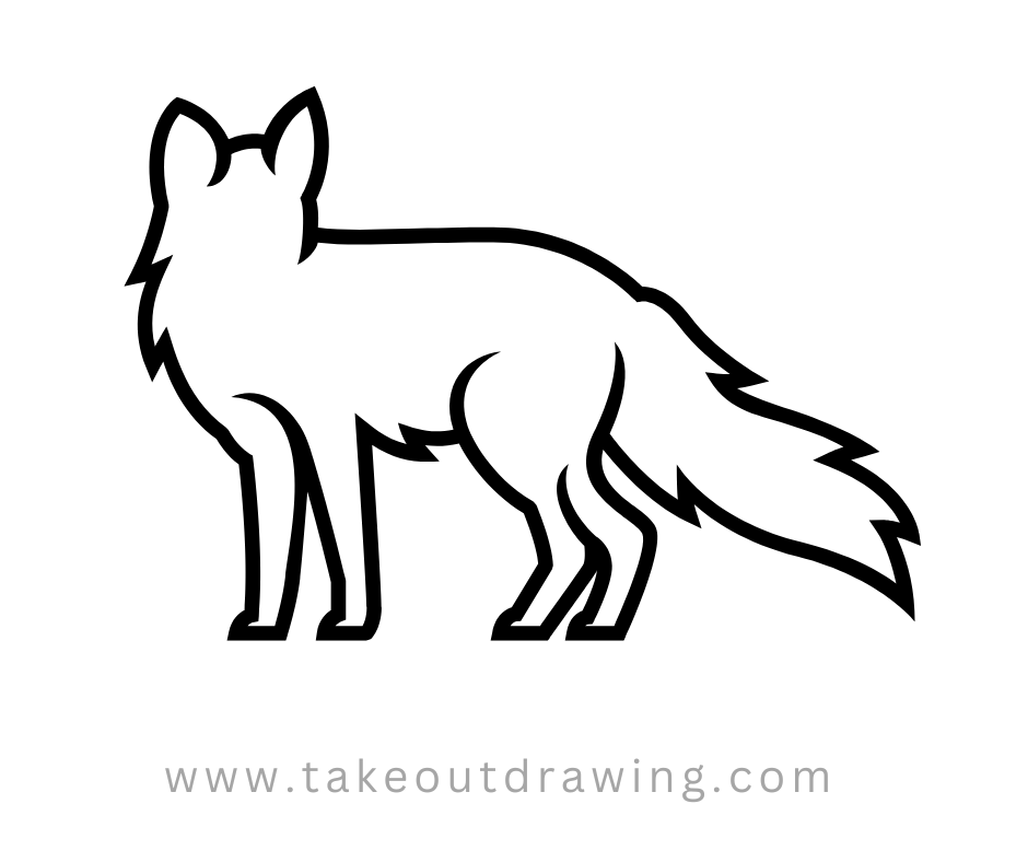 Fox Drawing Outline-2