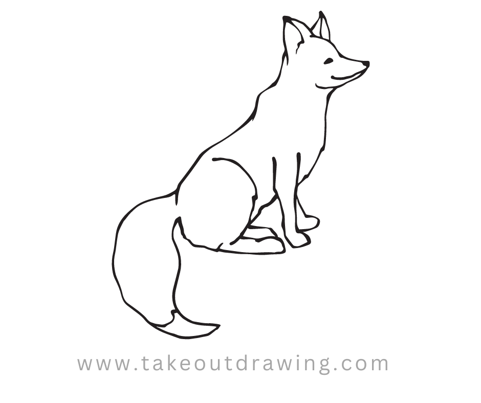 Fox Drawing Outline-3