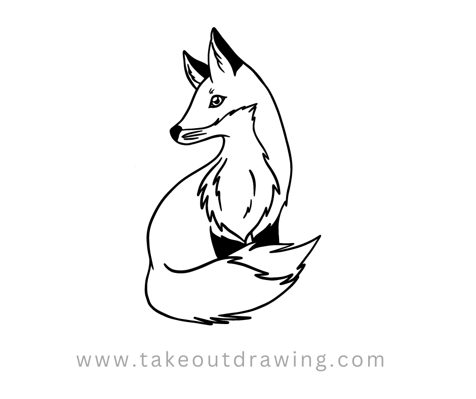 Fox Drawing Outline-4