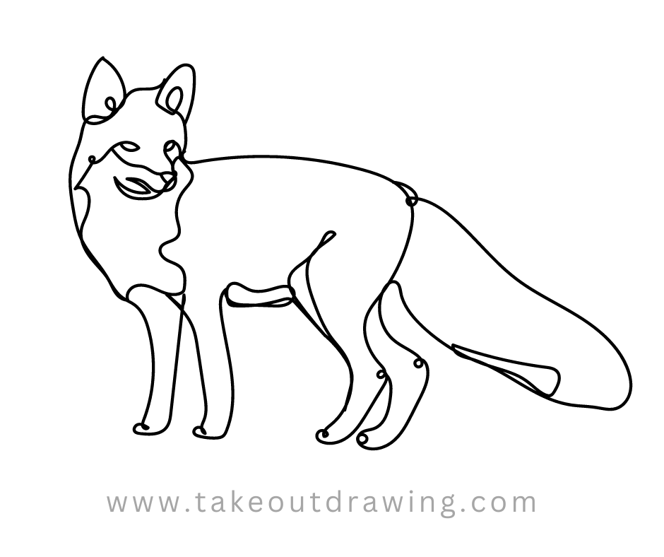 Fox Line Drawing-3