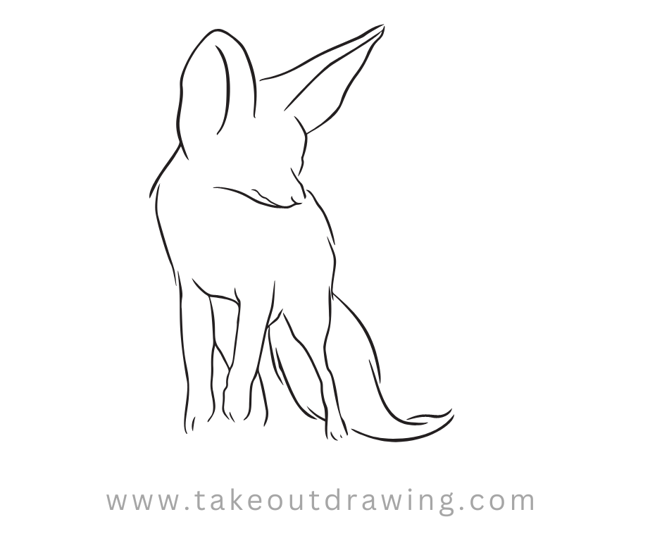 Fox Line Drawing-4