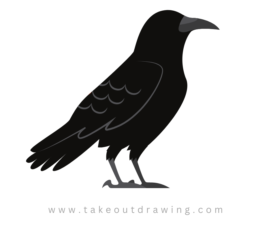 Simple Crow Drawing-2