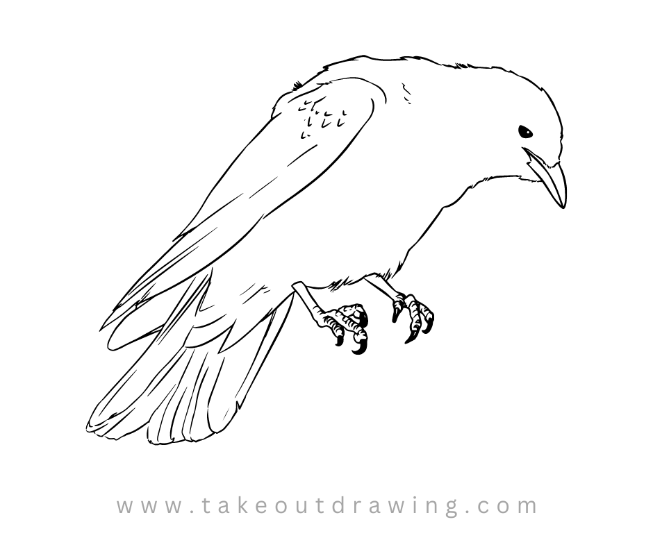 Simple Crow Drawing-3