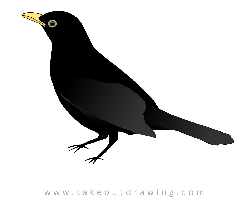 Simple Crow Drawing-4