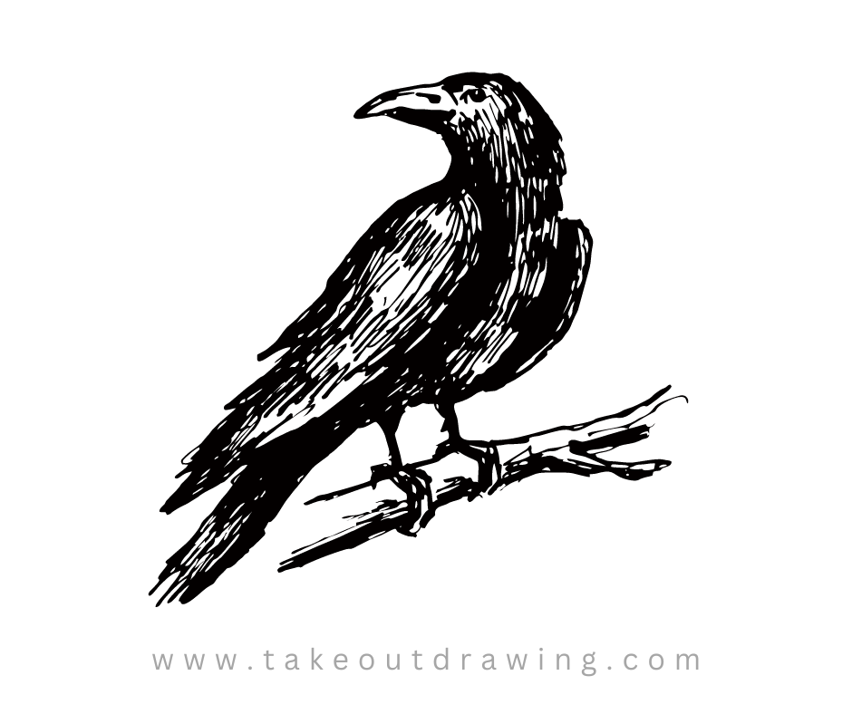 Sketch Crow Drawing-1