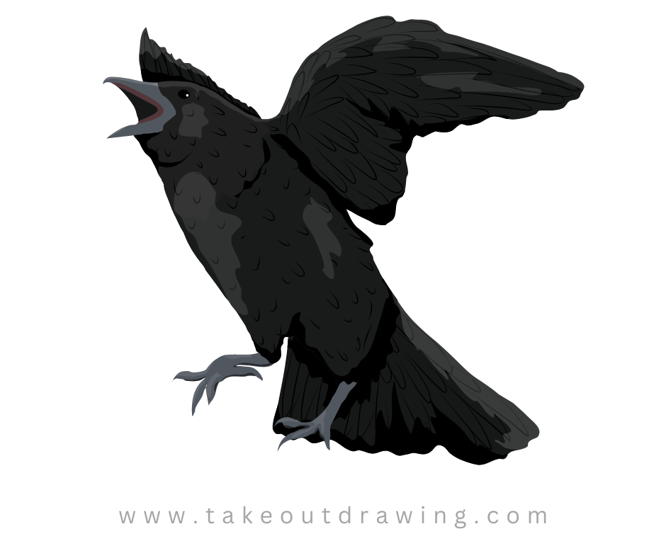 Sketch Crow Drawing-3