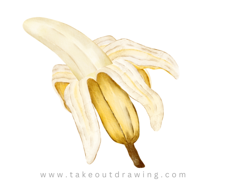 banana peel drawing-3