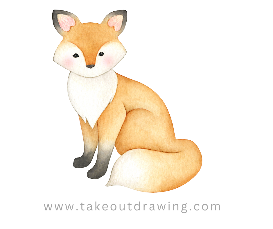 fox color drawing-2