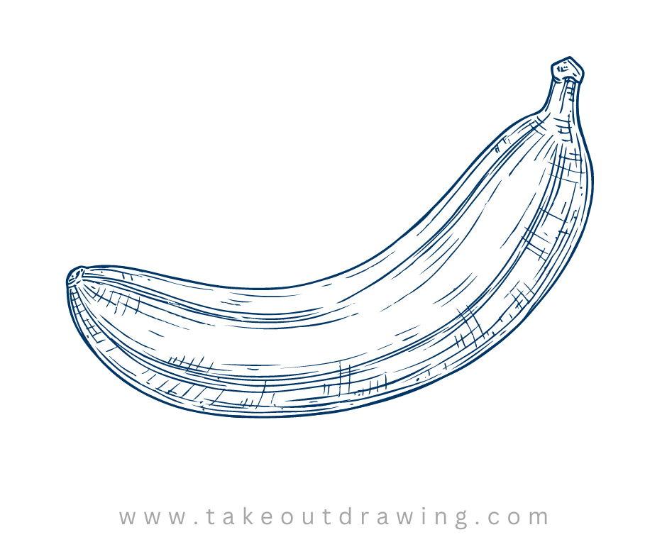 pencil drawing of banana fruit