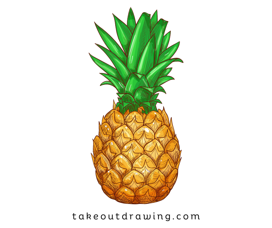 Pineapple Colorful Drawing-3