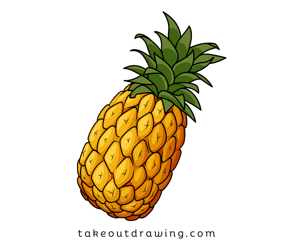 Pineapple Colorful Drawing-5