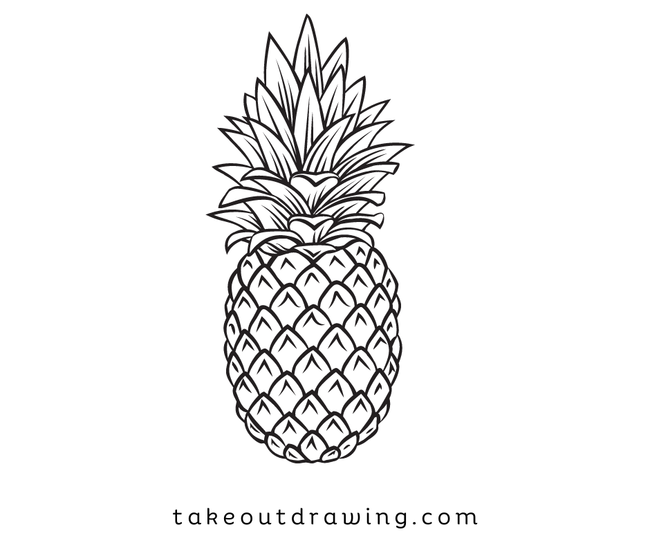 Pineapple Drawing Pictures-3