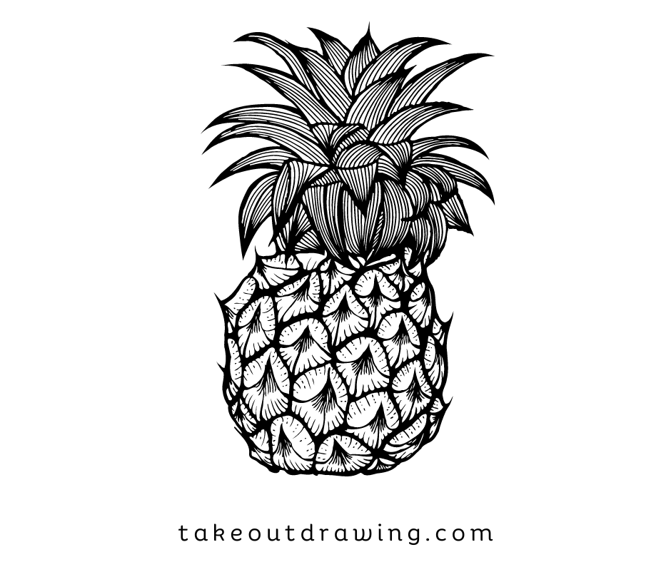 Pineapple Drawing Sketches-1