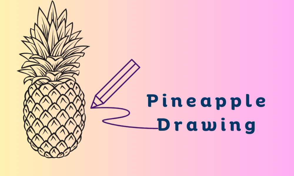 Pineapple drawing tutorials