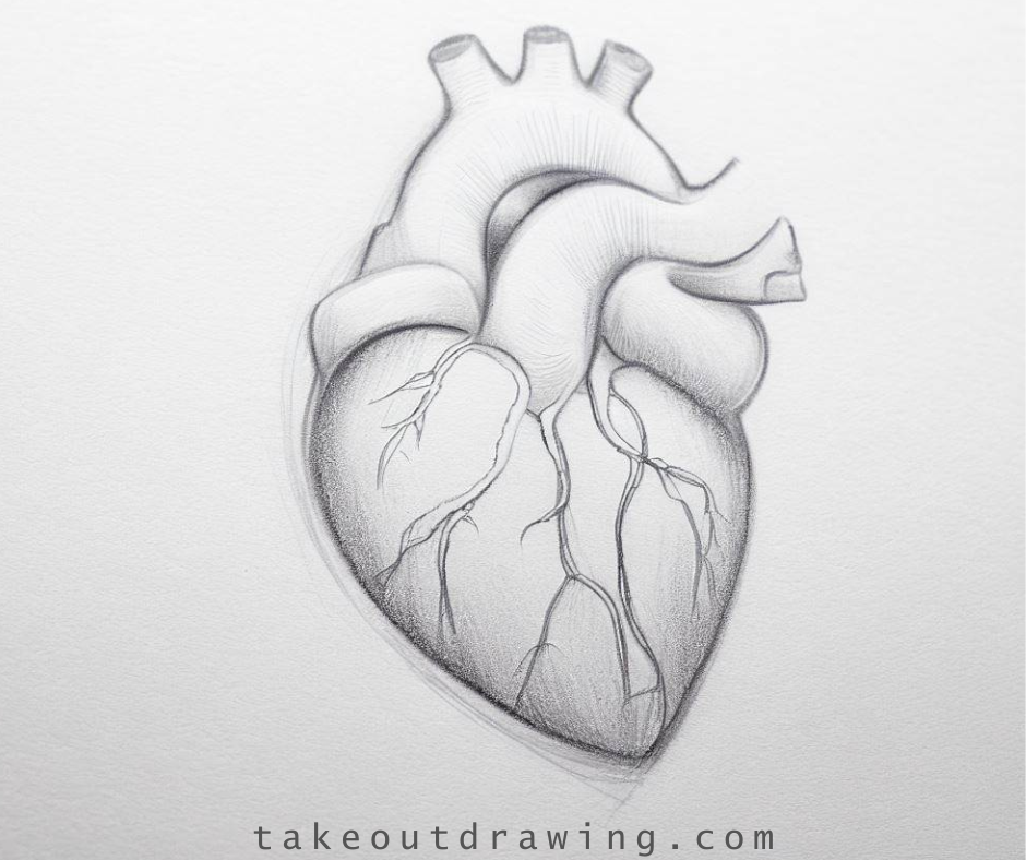 Easy, Cute, Love Human Heart Drawing