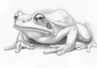 Easy-Frog-Drawing-Cute-Frog-Drawing-Outline