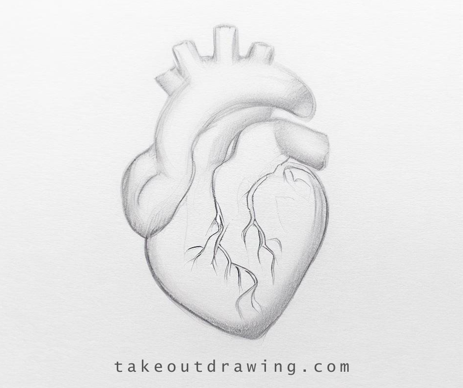 Easy, Cute, Love Human Heart Drawing